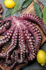 A continuación, te explicaremos qué es el marisco, y cómo se clasifica, para que puedas identificar cada uno de ellos, y los disfrutes aún más. Pulpo De Marisco Pulpo Y Cangrejos Crudos Frescos En Tablero De Madera Con Limon Y Laurel Fondo Gris Pizarra Vista Superior Fotos Retratos Imagenes Y Fotografia De Archivo Libres De Derecho Image
