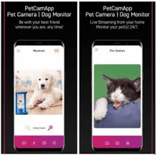 Take some time to learn every app before you move onto the next one, but most importantly, have fun snapping thousands of photos! 7 Best Pet Camera Apps For Android Ios Free Apps For Android And Ios