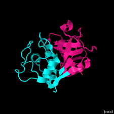 The morphology of the nanocarrier also decides the fate of the enzyme activity depending on the orientation of the enzyme. Papain Proteopedia Life In 3d