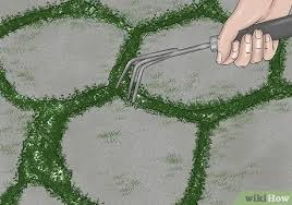 After you have sprayed the vinegar solution on the area and allowed it to work its magic for a few minutes, you may need to use a deck brush or scrub brush to address stubborn areas. How To Clean Pavers With Pictures Wikihow