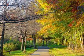Your Guide To What Life Is Like Living In Falls Church, Virginia