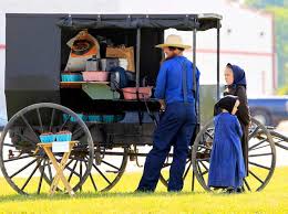 The amish have something we don't have. The Amish 10 Things You Might Not Know