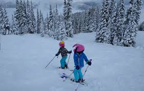 5 Best Downhill Alpine Ski Poles For Kids 2019 Best Snow