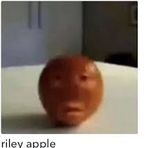 While it was a night of entertainment for many,. Riley Apple Okbuddyretard Stupid Memes Stupid Funny Memes Funny Memes