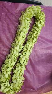 Maybe you would like to learn more about one of these? Mable S Heaven Sent Flowers Home Facebook