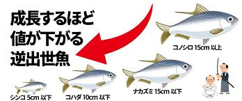 近畿釣り情報
