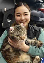 I'm still open for commissions, BTW (≡^∇^≡)