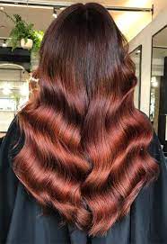 55 Auburn Hair Color Shades To Burn For Auburn Hair Dye Tips Hair Color Auburn Auburn Hair Dye Hair Color Shades