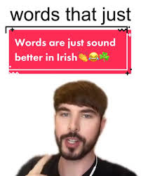 Words Are Just Better in Irish| Irish TikTok Compilation