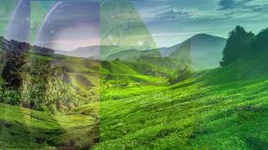 The country maintains a constant economical scale due to the. Arah Pendidikan Home Facebook