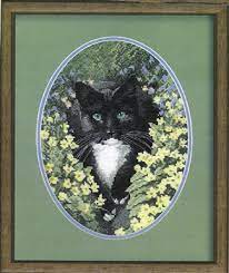 Check spelling or type a new query. Black And White Cat Cross Stitch Pattern By John Stubbs