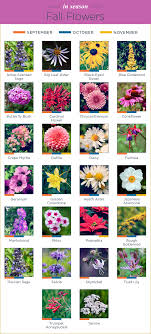 What Flowers Are In Season Ftd Com