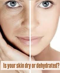 Tina Seitz LME -Integrative skin specialist/ product formulator  (@tinaholistichealing) • Instagram photos and videos