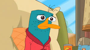I feel like there's enough potential aww material waiting to be captured and shared as oc and this is lazy and unoriginal. Perry The Platapus Pictures Posted By John Peltier