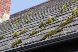 Maybe you would like to learn more about one of these? How To Clean A Roof