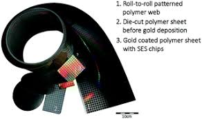 Innocua must be further characterized using additional tests. Detection Of Listeria Innocua On Roll To Roll Produced Sers Substrates With Gold Nanoparticles Rsc Advances Rsc Publishing