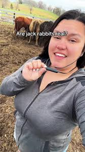 Woman Accidenly Takes Jack Rabbit