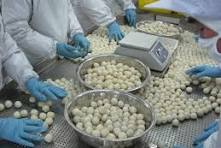 Wholesale IQF Frozen Taro Supplier Exporter China