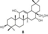 Image result for Embelia schimperi