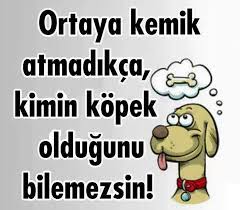 Hahhah Haaay Guzel Soz Komik Mizah