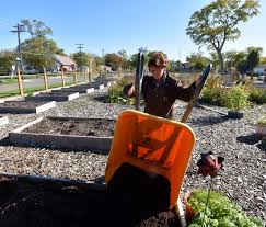 In Memory Of' garden first to join DPDs Project Green Light