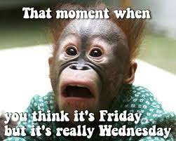 Its Only Wednesday Quotes Quote Days Of The Week Wednesday Hump Day Wednesday Quotes Happy Wednesday Funny Wednesday Memes Wednesday Quotes Hump Day Humor