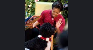Bo was a portuguese water dog, chosen because of his hypoallergenic fur since malia obama suffered allergies at the time. Bo Obama A Look Back At The First Dog S Fetching Life Politico