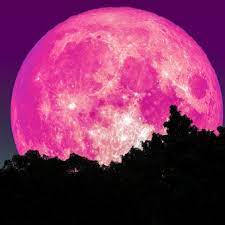 Tu horóscopo de luna llena abril. Superluna Rosa 2021 En Argentina Como Y Donde Ver La La Luna Llena De Abril