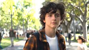 It's a lifetime movie at worst and a glorified acting exercise at best. Beautiful Boy Movie Review Steemit