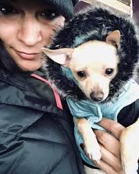 Chihuahua Alerts Owner to Kitchen Fire