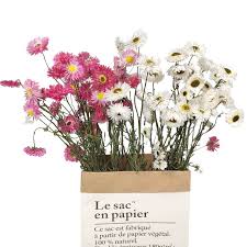 Use faux orchids or your favorite silk flowers from afloral.com for your diy wedding centerpiece. Wholesale Cheap Dry Flowers Wedding Dried Decorative Flower Best Natural Real Rhodanthe Buy Dried Rhodanthe Flowers Decorative Flower Dry Flowers Product On Alibaba Com