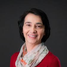 El Camino de Santiago Yesterday and Today