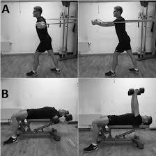 Start And End Position Of Flyes With Elastic Bands A And Dumbbells B Download Scientific Diagram