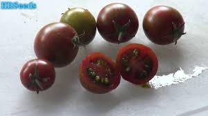 Grade black zebra has shown itself consistently. Black Zebra Tomato Solanum Lycopersicum Tomato Review 2019 Youtube