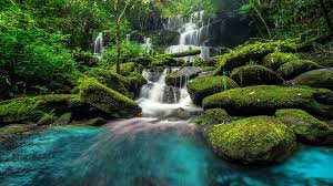 Relaxing Piano Music Sleep Music Water Sounds Meditation Music Relaxing Music 45 Youtube