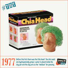 Tbt 1977 Before Chia Pets There Was The Chia Head The Chia Seeds Are Hydroponically Grown Water Is Placed Inside The Clay Pot And The Clay Acts As The Mediu Chia Pet