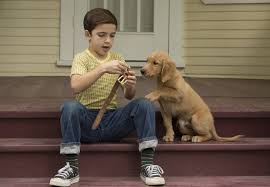 Helyen áll a filmek toplistáján! Egy Kutya Negy Elete A Dog S Purpose 2017 Mafab Hu