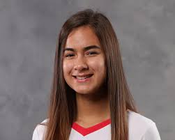 All-Metro volleyball: Skilled veterans highlight 2019 honor team