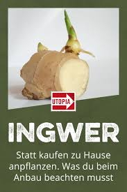 Pin Auf Essen
