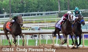 2014 breeders cup distaff results