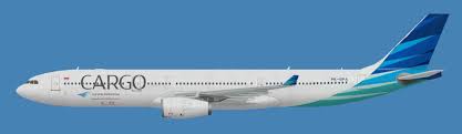 The hungarian government bought an ex qr a330 a few weeks ago. Dennis Lyng Desezar Jcai