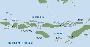 Like pearls in the emerald green sea, the indonesian archipelago of 17505 islands stretches between the asian. Flores Indonesia Komodo Dragons But Much More Pak Dave In Bali