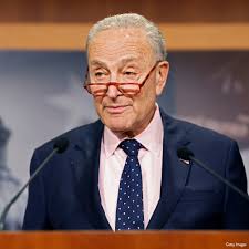 Democrats running for Senate are united