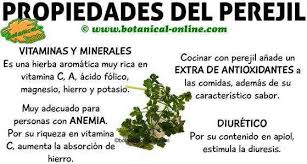 Perejil Hierbas Curativas Frutas Y Verduras Beneficios Perejil