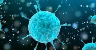 Kolloidal Gumus Suyu Nedir Faydalari Nelerdir 2020 Antibiyotik Direnci Ortodonti Gumus