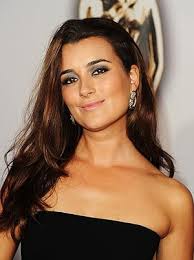 Cote de Pablo: Movies, TV, and Bio