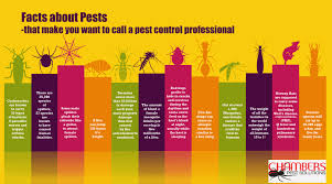 The average cost for pest control is $250. Affordable Pest Control Services Perth