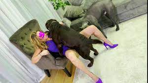 Best dog porn sites