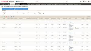 We help businesses unlock their potential and level up. Netsuite Fur Datev