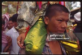 14 Kevin Moo Stock Photos, High-Res Pictures, and Images